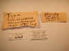 chinatiensis_type_label.jpg (56506 bytes)